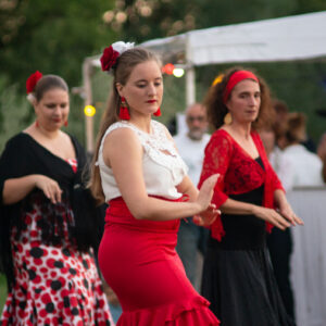 Photo spectacle danse Bergerac